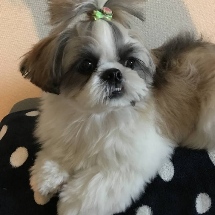 9567452b ef75 4cf3 b9d8 4409e783f1ee