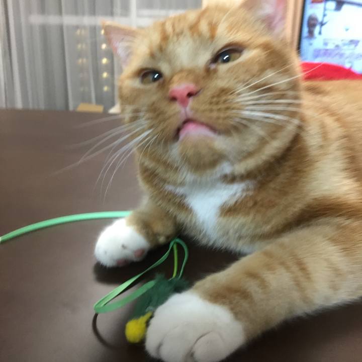 95675477 38da 4199 848d 4d98158ca9e2