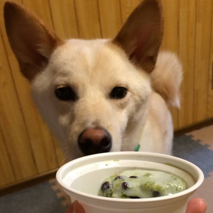 95675662 8450 4cae 9481 087aa5a527bc