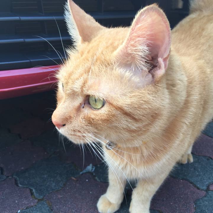 95676b93 0b27 4c83 8b78 fc65887b553d