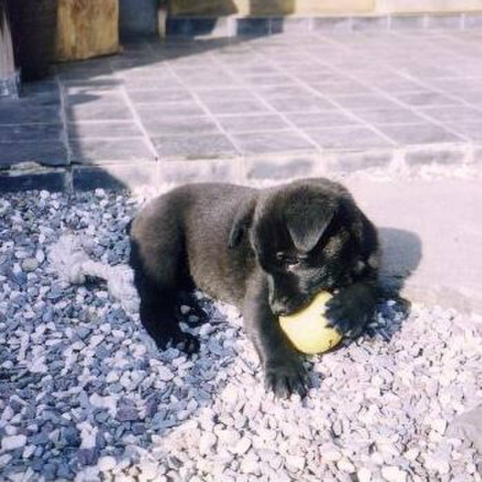 95678e10 7687 4fb4 84e9 3b10f69dee83