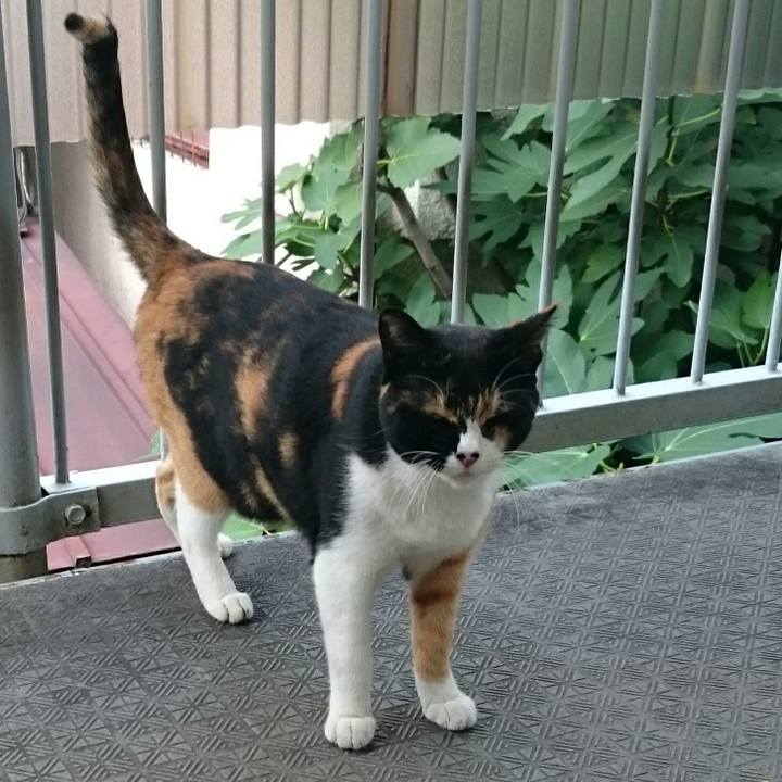 9567d2bf 253f 4b35 84d9 1862d9411201