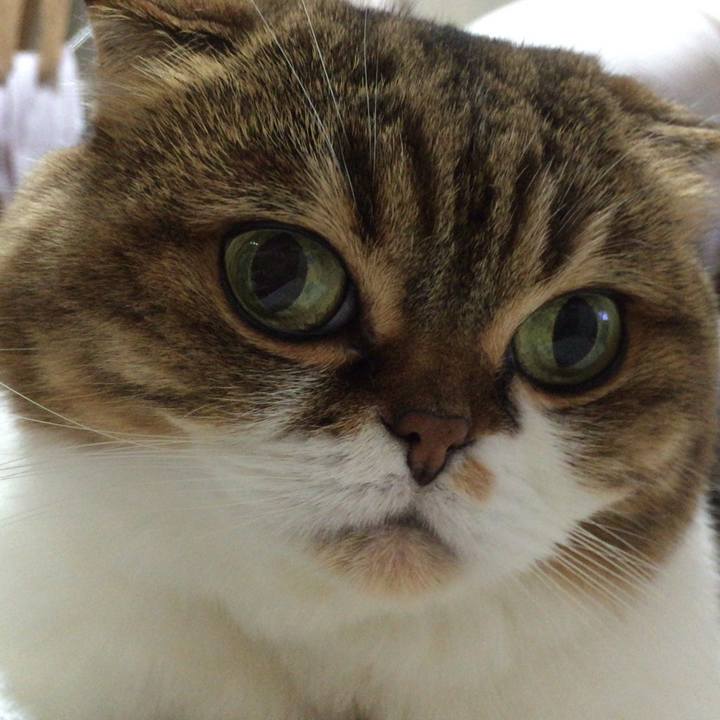 95681942 9362 41a1 91f0 c8a3bcff7b4d