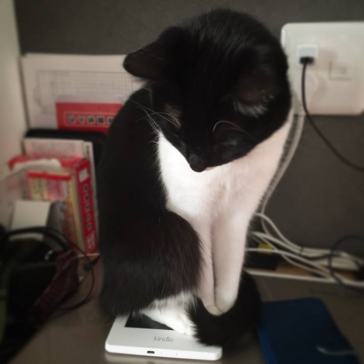 95684093 18e4 49b7 84ca f54d07fb6589