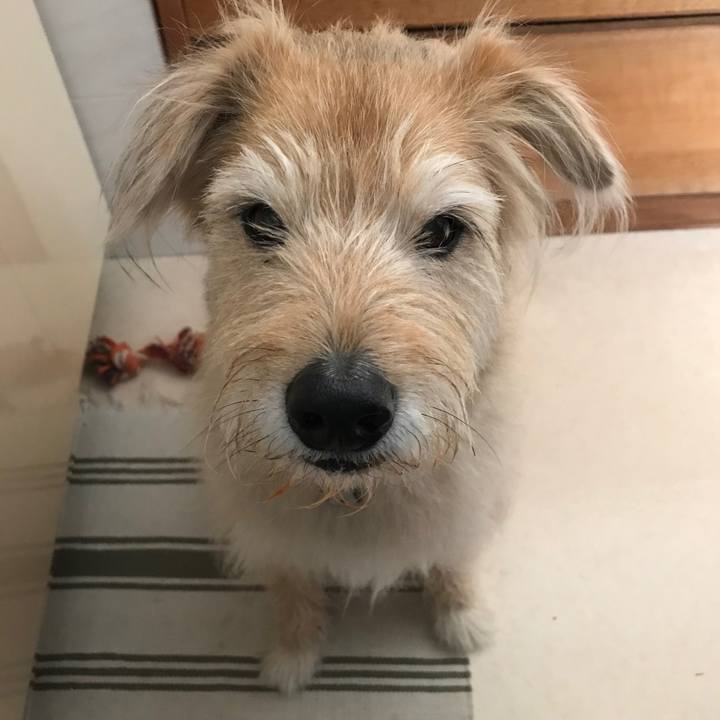 9568e214 0ed1 425d 8360 4f7fa32a173a