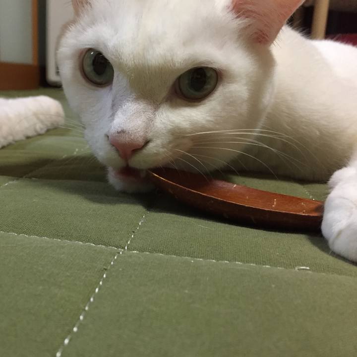 95692fb9 f3e2 4bbf bd4c c53f918b1668