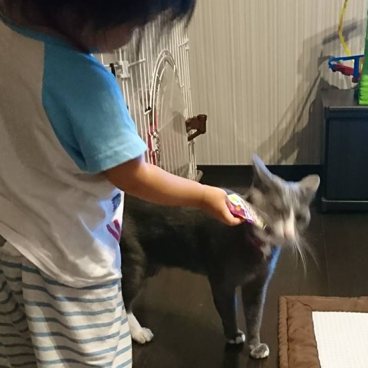 9569566c eb51 4510 8cf1 1908f4984faf