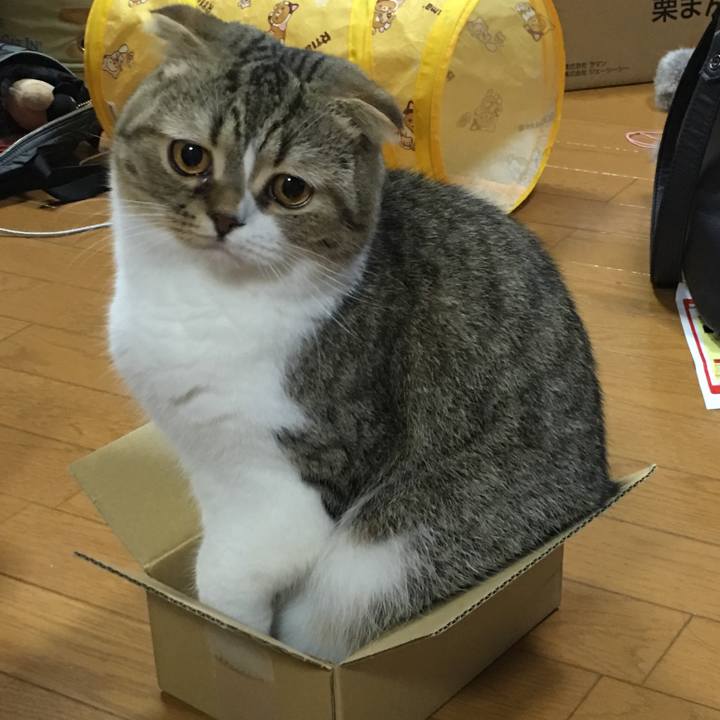 956a10d1 8eb7 443b b450 64f8bdb910bd