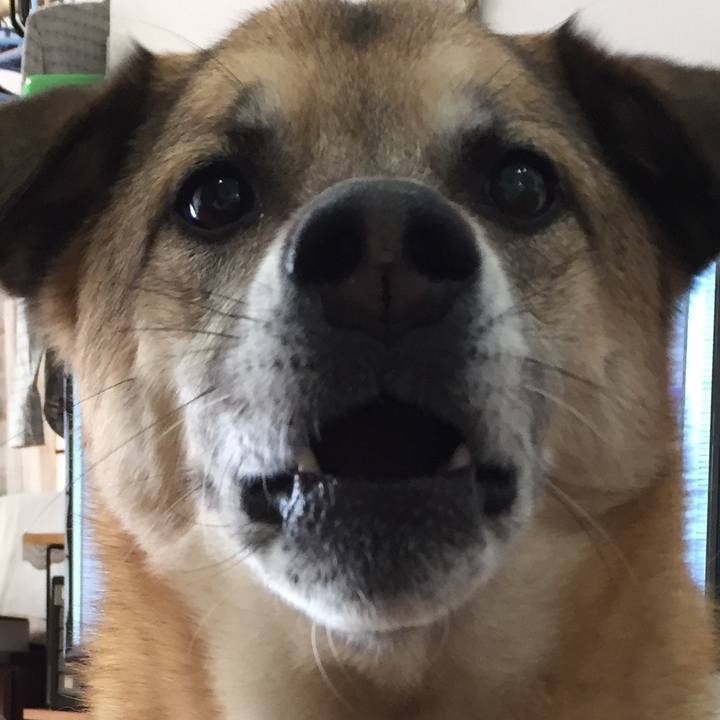 956a4fd7 b8a0 4a22 8194 80fba17787fd