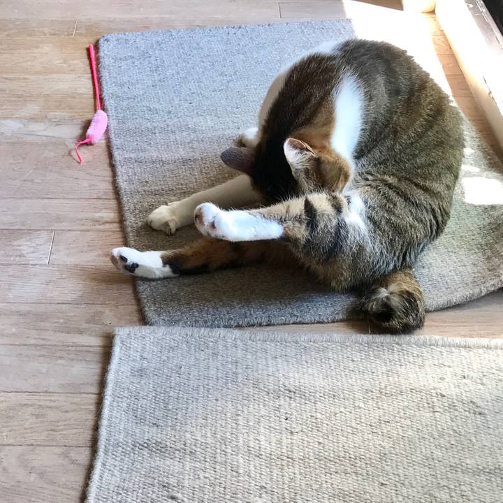 956b863c 04d8 4031 960e bfa4594a863d