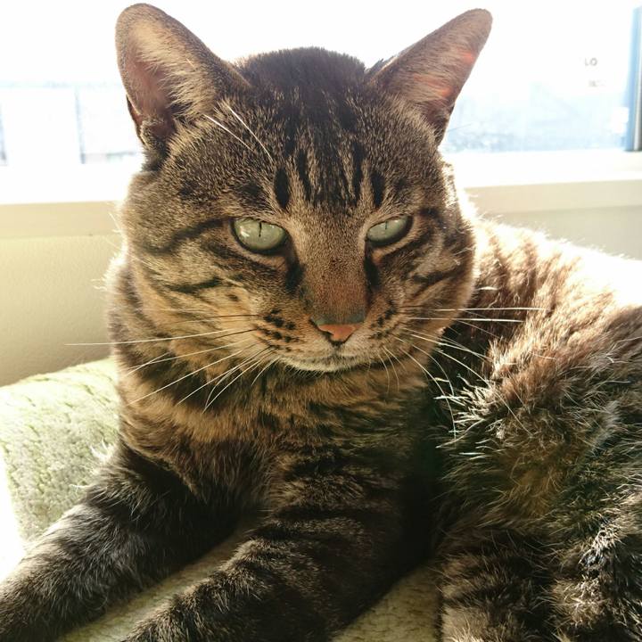 956c3e94 f503 4df3 888c fdb4b347af45