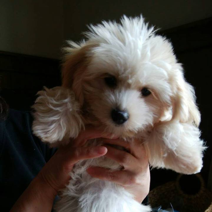 956ca85e 457c 43da 881a 5441f8c08ca5