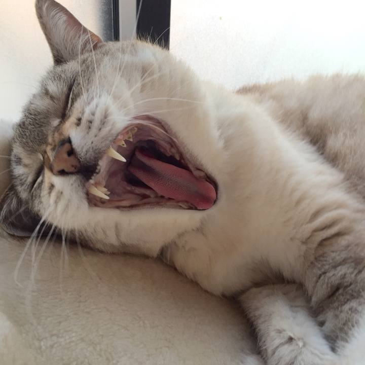 956cb08f f2da 48f1 9593 f4f1ef1a617b