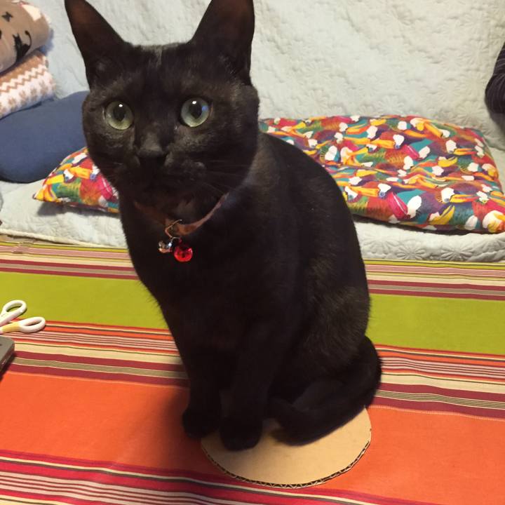 956cba49 0aea 40a4 9690 7248b1c8a5fb