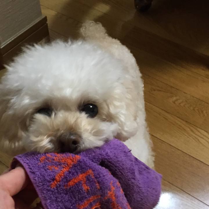 956d1bc0 53de 41a6 b662 c2d8ec74c926