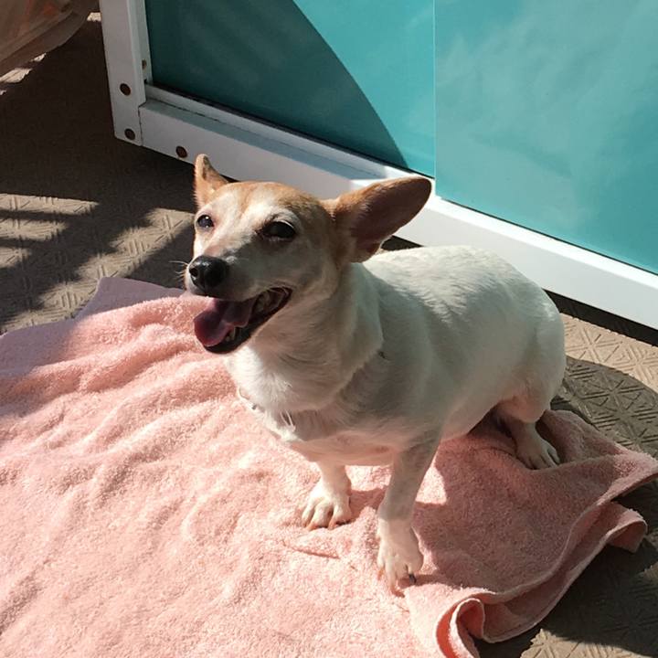 956e294d abed 4bad aed6 c8c5073eb9e6