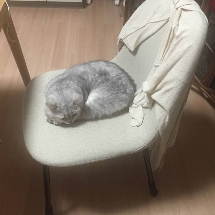 956e328e e888 45fe bafc 48c99d0455fa