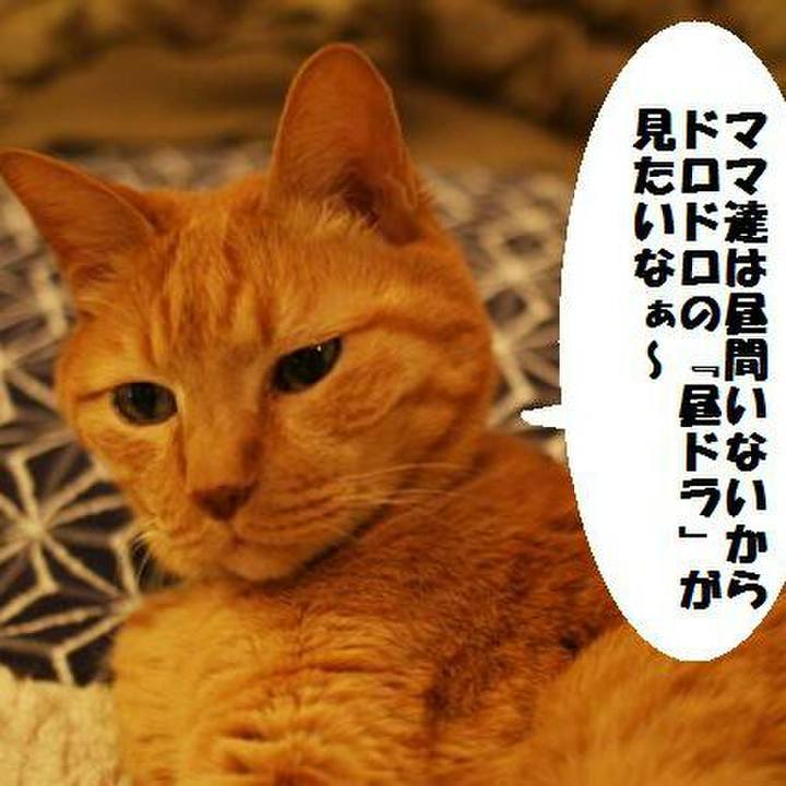 956e4dbd 14cc 4e97 bc94 2a95545911e4