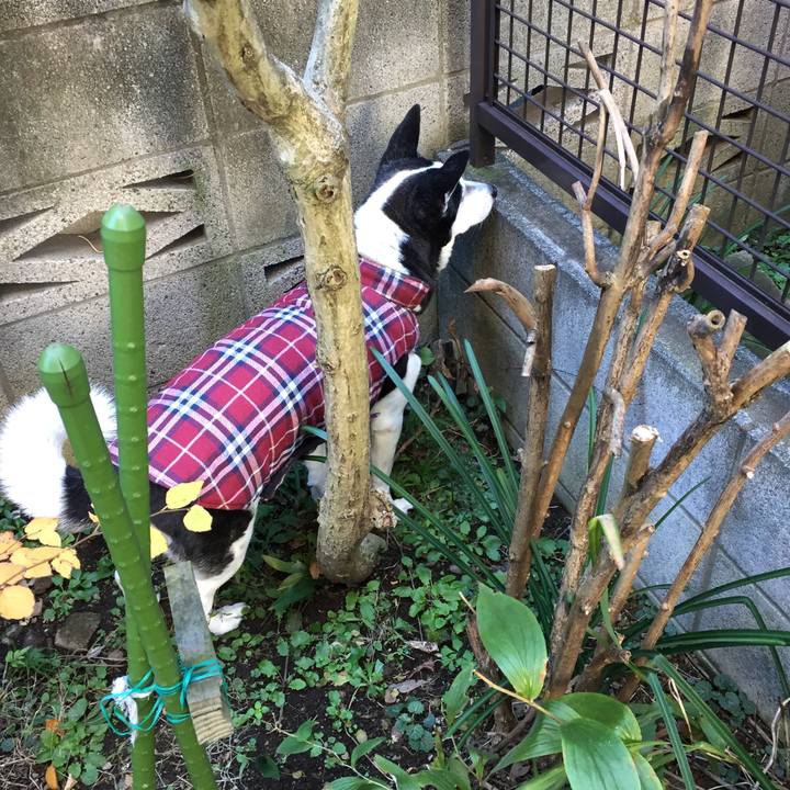 956f05a6 ca9c 429d bd01 160f444b25d4