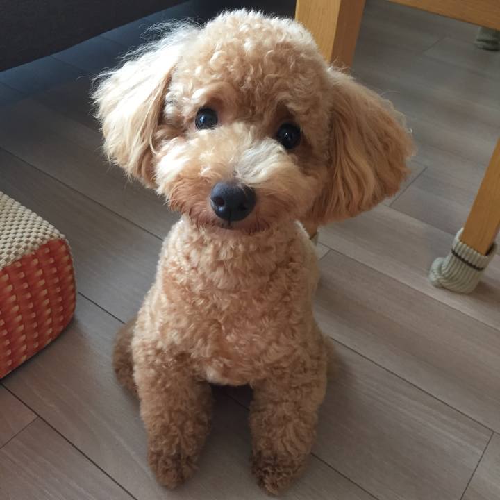 956f1447 620b 46aa b02c 2f9b4250860a