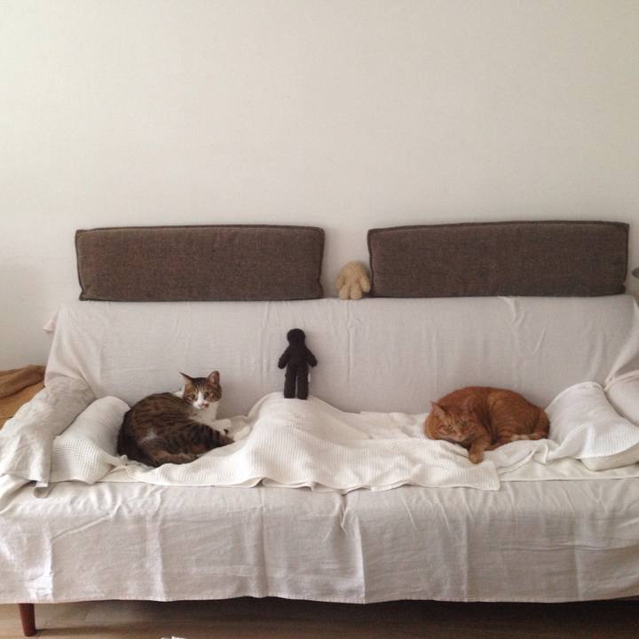 95711366 3094 4aa0 8a14 c58597ac34df