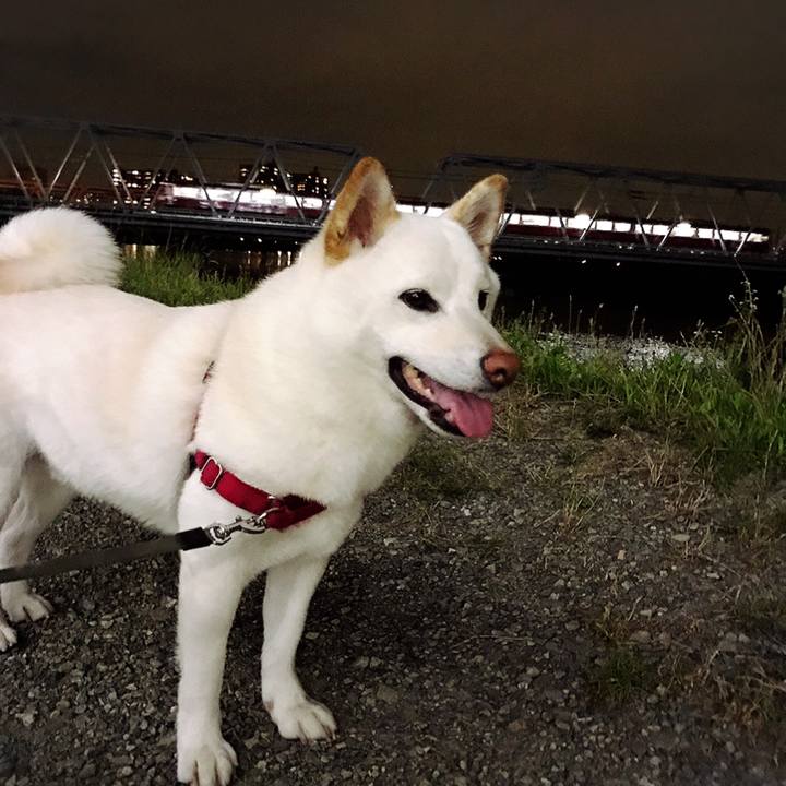 95714c65 6a3c 4f87 87f5 9f2544c50389