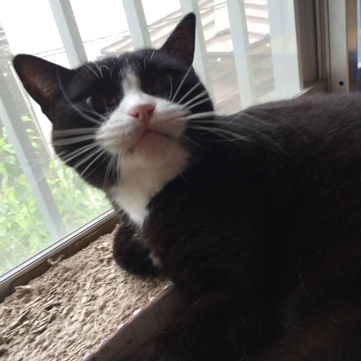 95716a2d 5eb9 4798 9c9f 4044166056d3