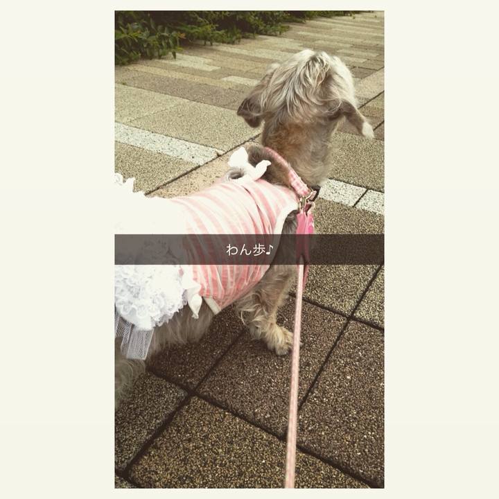 9571d41d 3e68 428f 8eff b586e0ec15a6