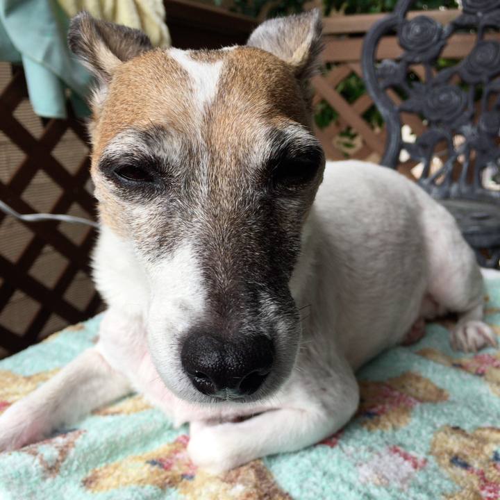 9572335f da46 476f 8217 0ebdd54c325b