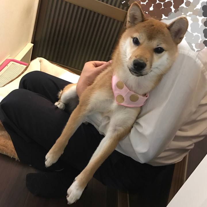 95724861 91a0 4504 b277 685988651c85