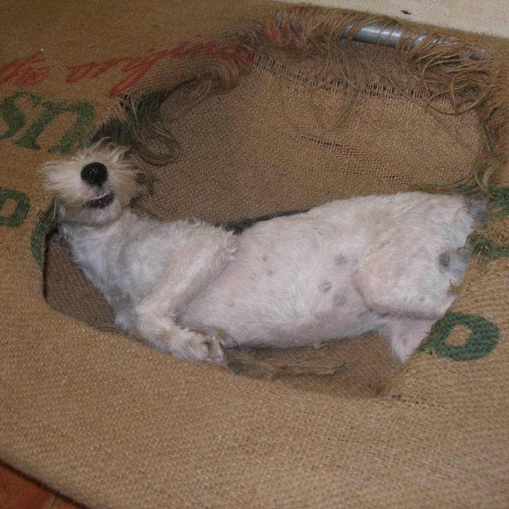 95728365 1ce9 48f6 b4a3 70ff6e805ffd