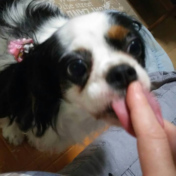 9572886c 0bed 4c67 b6b9 1193ea9e75e3