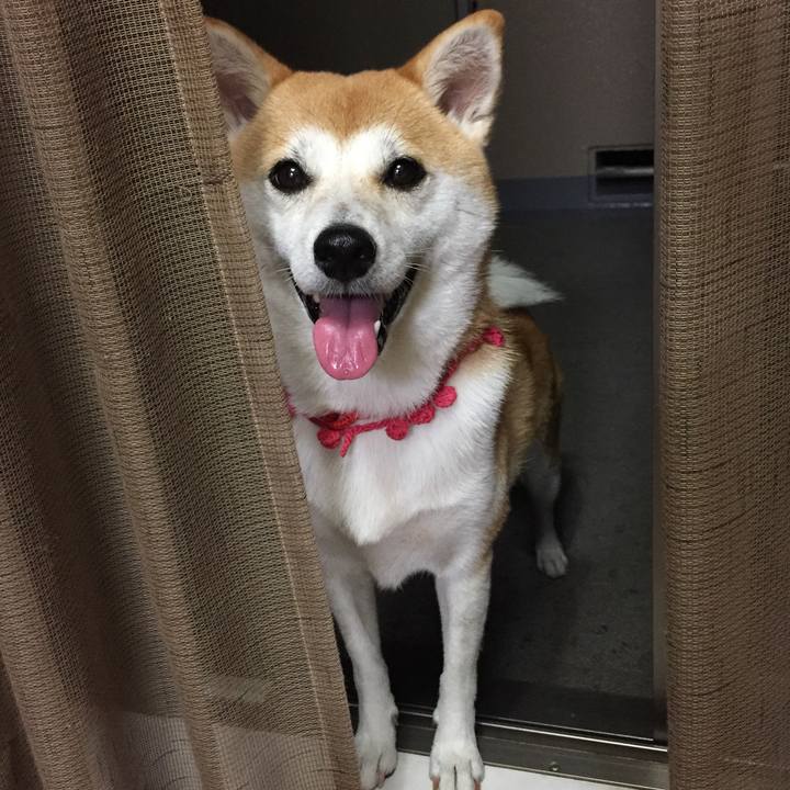 9572cd1d 7d00 45d6 b6d0 69e52252d2e6