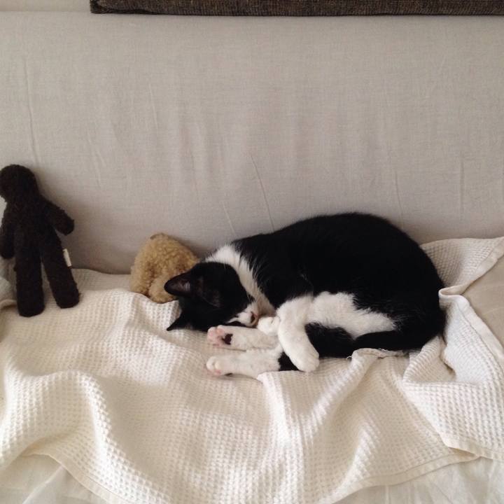 9572ed42 c2d0 4ff2 b726 ec1158699983