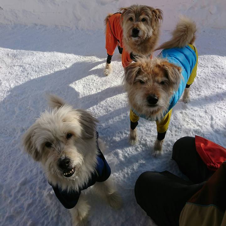 9572f83b 7811 4ce9 9436 7d7d153489da