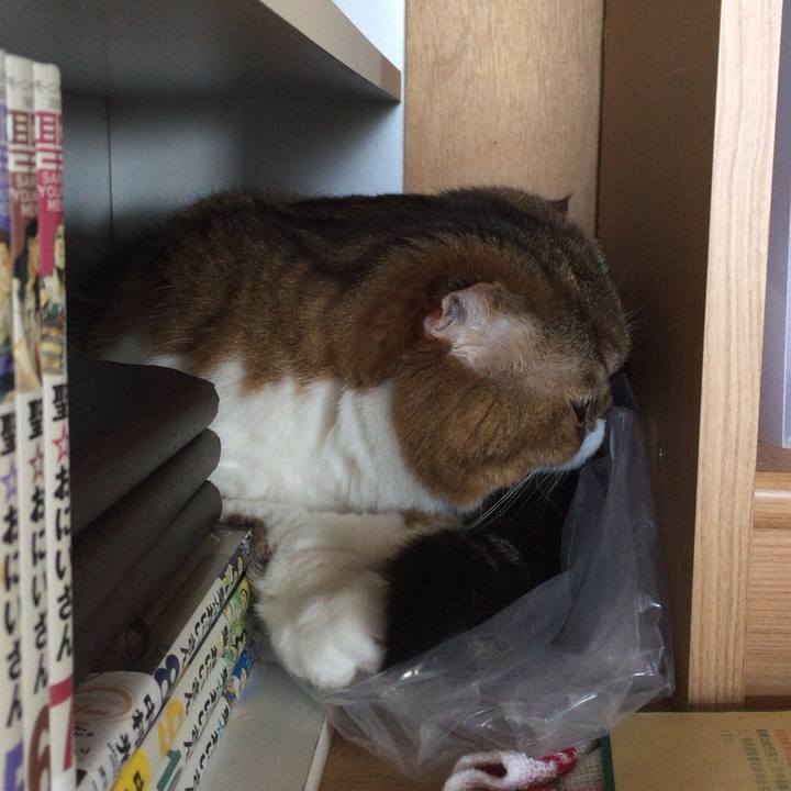 9572fbf6 b368 4d4d a311 5d16b5b96d2f