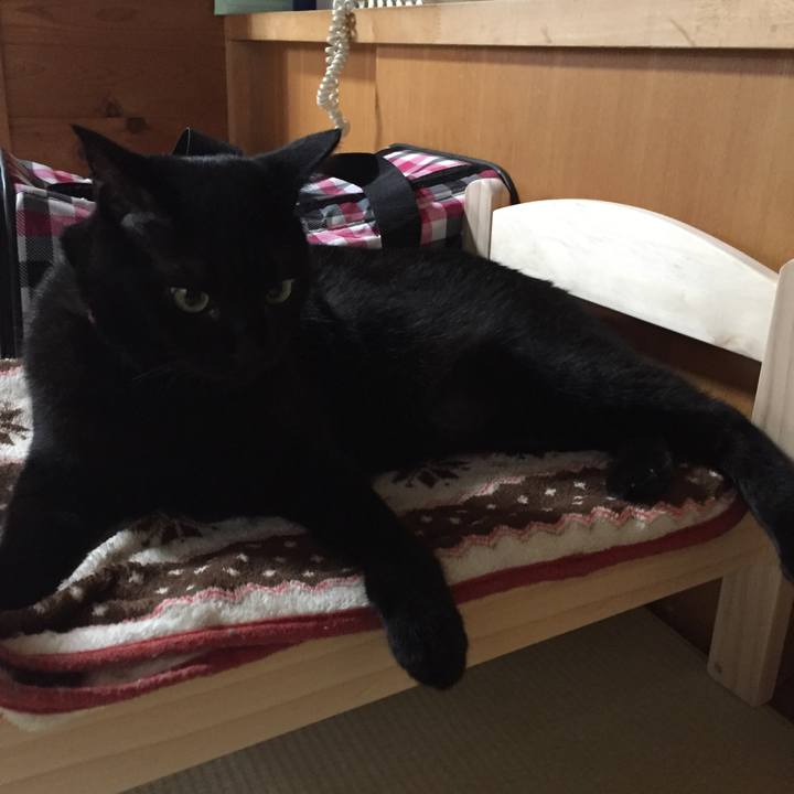 9573b128 2261 4ccc 9229 0fa2f73a1bf2