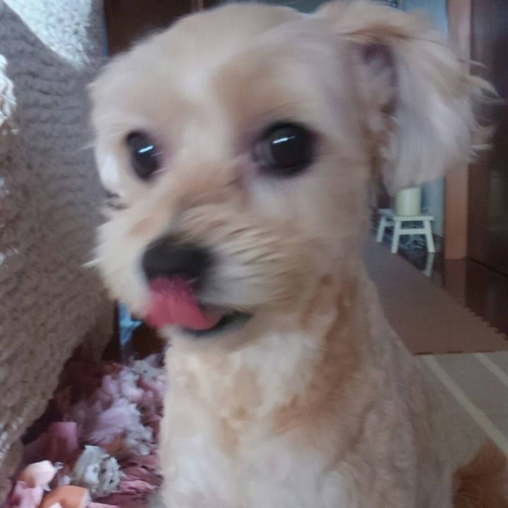 9573d5f7 7560 462e 9108 0455028ef74e