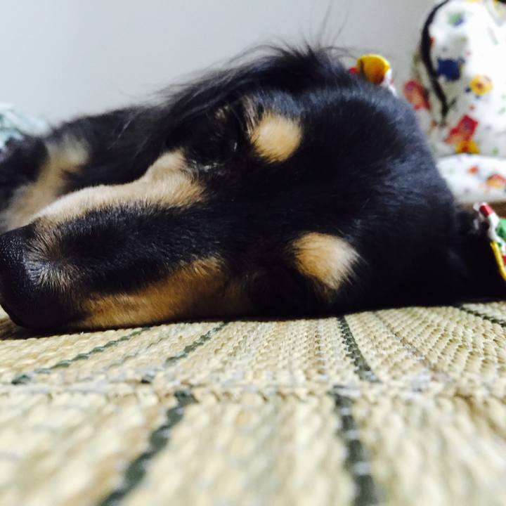 9574416e 7eda 444a 909b 9af058212551