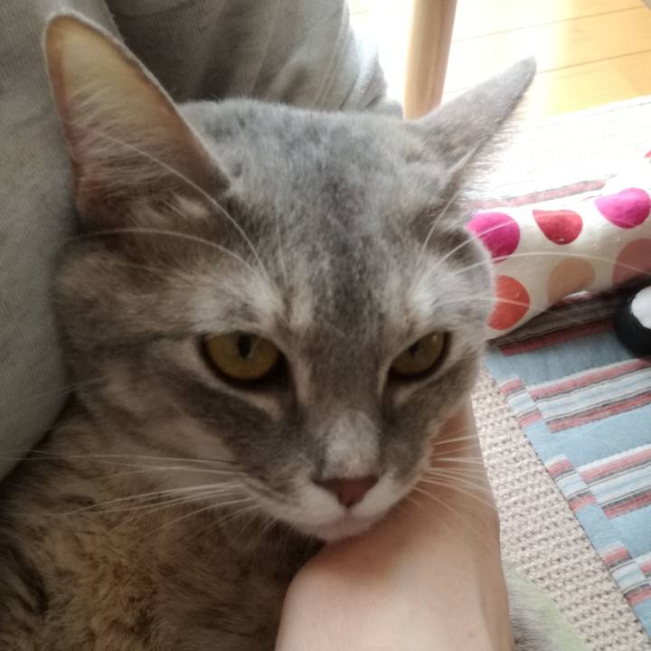 957458e0 7d6e 408e 8b10 8316b8f95ddd