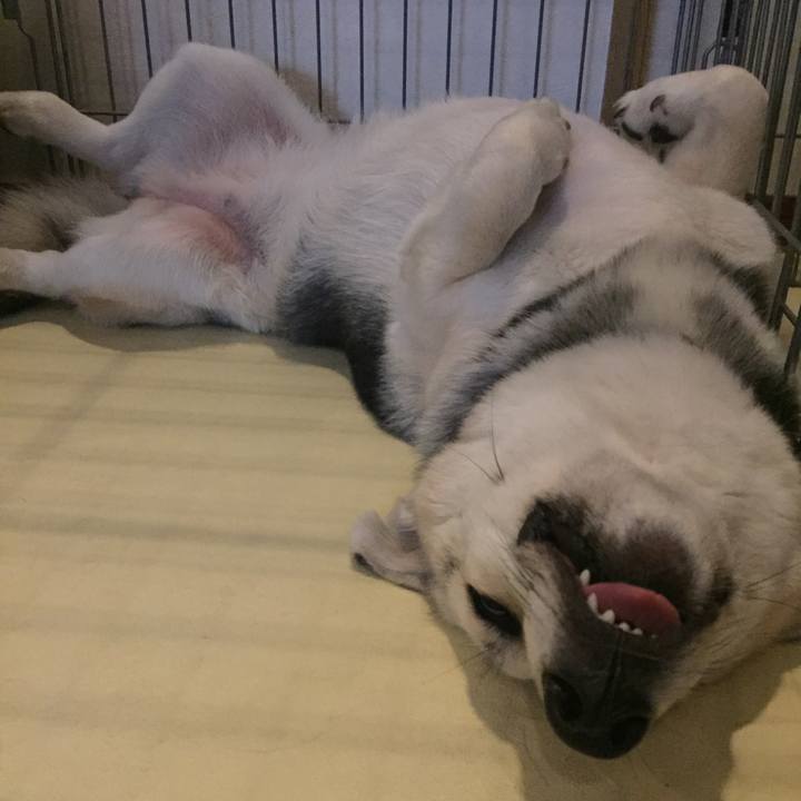 95748183 cb9e 4172 ad3c fbe7c72cee40