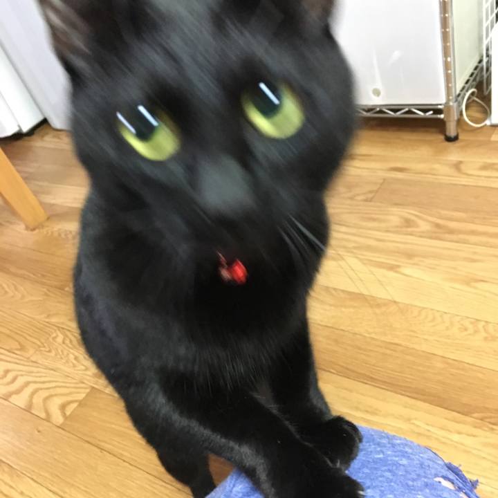 9574bb7b 1044 4975 9fbe 0185449facc6