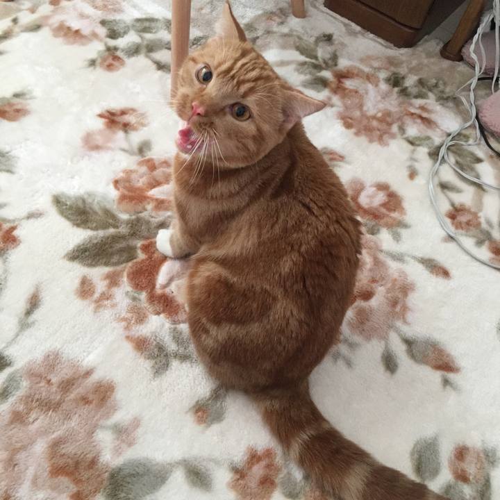 9574ed95 9cb7 4273 b1f6 edd9fed0d865