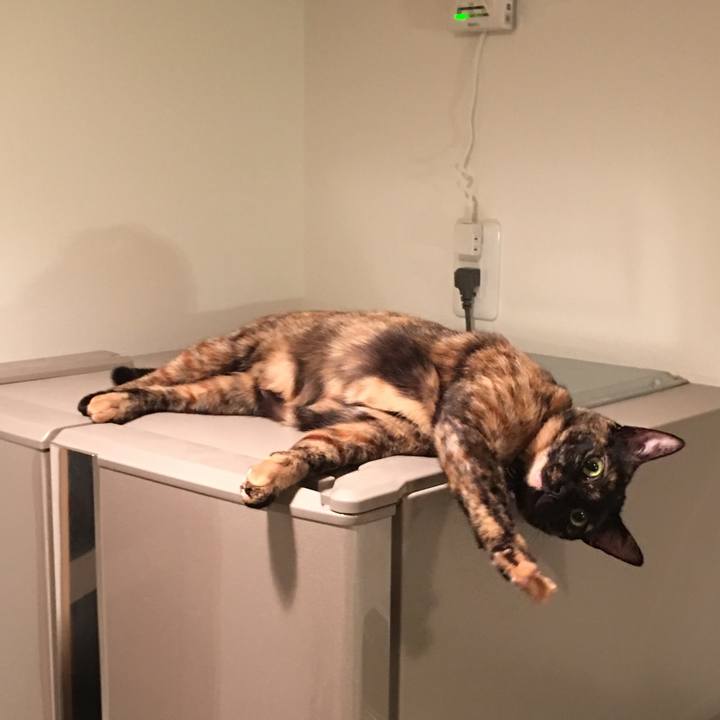 9574fb7d f066 414e 9b18 4ef544bdc0a0