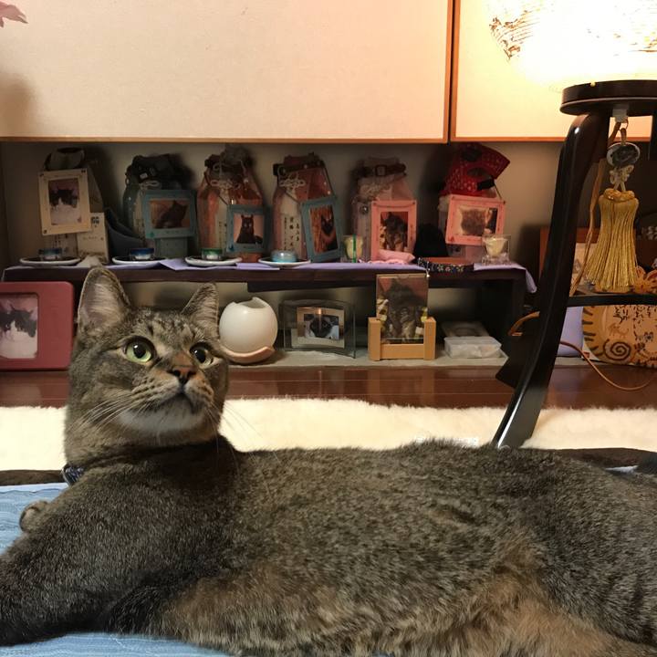 9575d180 354d 42db b951 b4a01114eb3a