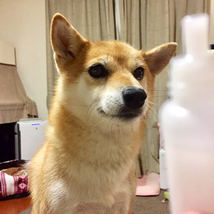 9576c461 97fd 49a5 a6cb e6d16339518d