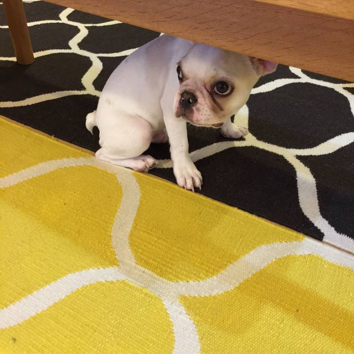 95775fff fc6d 47f5 809d f5fa3cd32187