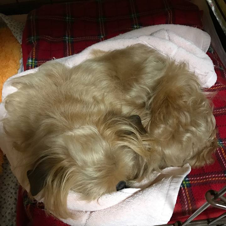 95777dbe 93f3 409b 82ff 355def6ffbe9