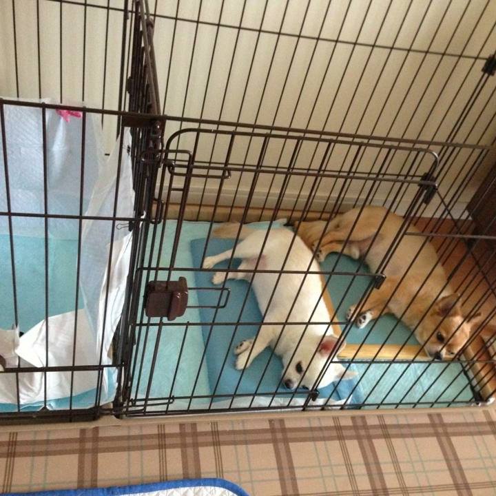 9578525a 5136 41c7 82ef daa906e45d8a