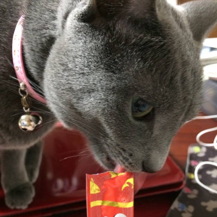 9578aa3f 5a96 48e0 bf21 1f8a4088ee65